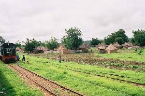 Train en brousse