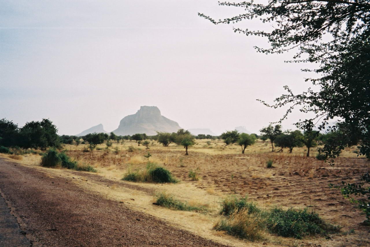 d29