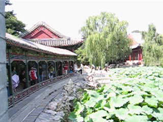 Panoramic view of a small lake. Around this pond, there is a corridor. Many beautiful lotus are growing in this lake.